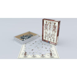 The Skeletal System 1000 Piece Jigsaw Puzzle Eurographics (ONLINE ORDER ONLY)