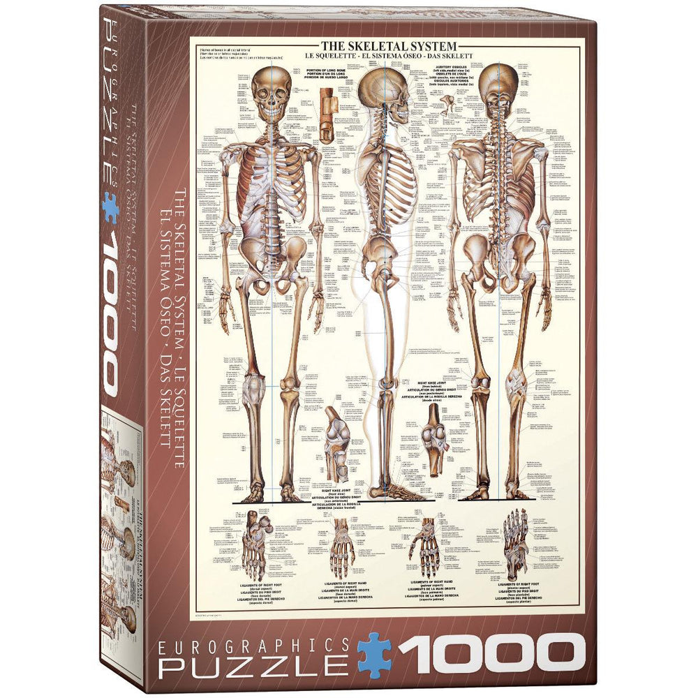 The Skeletal System 1000 Piece Jigsaw Puzzle Eurographics (ONLINE ORDER ONLY)