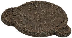 Flames of War: Large Craters and Ruined House