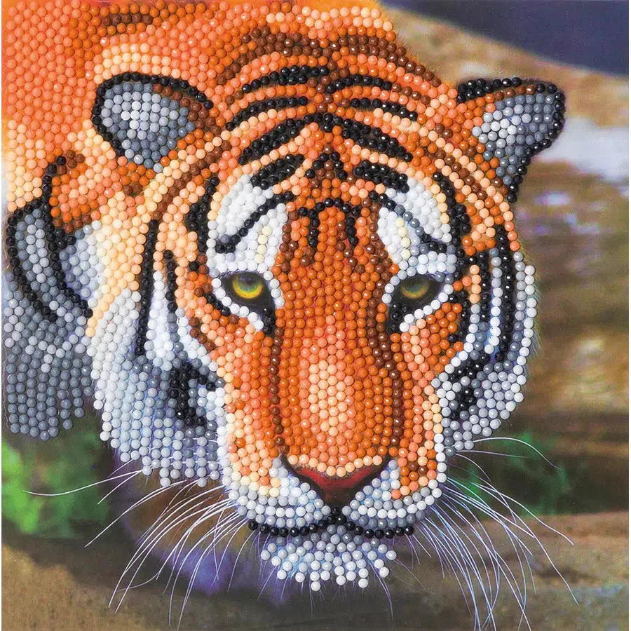 Tiger Crystal Art Card Kit Craft Buddy (ONLINE ORDER ONLY)