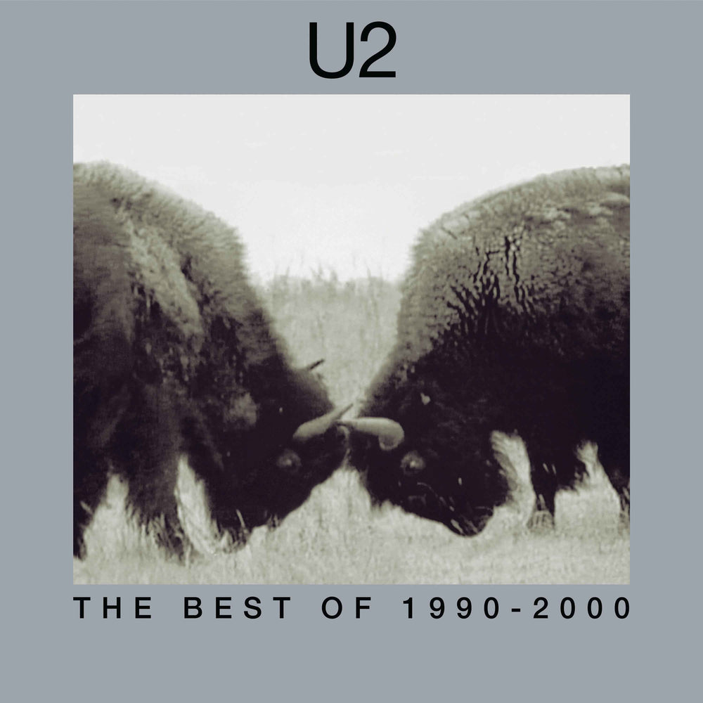 U2 - The Best Of 1990-2000 [2 LP] [Vinyl]