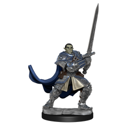 D&D: Nolzur's Marvelous Miniatures - Half-Orc Paladin Male