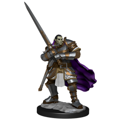 D&D: Nolzur's Marvelous Miniatures - Half-Orc Paladin Male