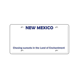 Custom Kids’ Ride-On Car License Plate
