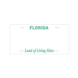 Custom Kids’ Ride-On Car License Plate