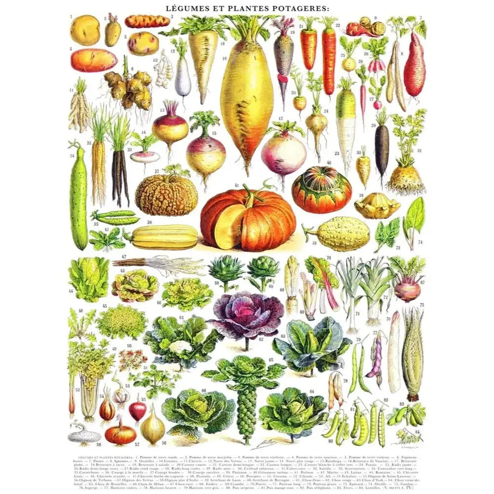 Vegetables ~ Légumes 1000 Piece Jigsaw Puzzle NYPC (ONLINE ORDER ONLY)