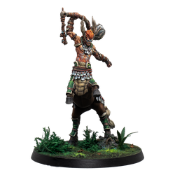 Eachann, the Great Centaurelf