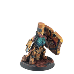 Hearthguards