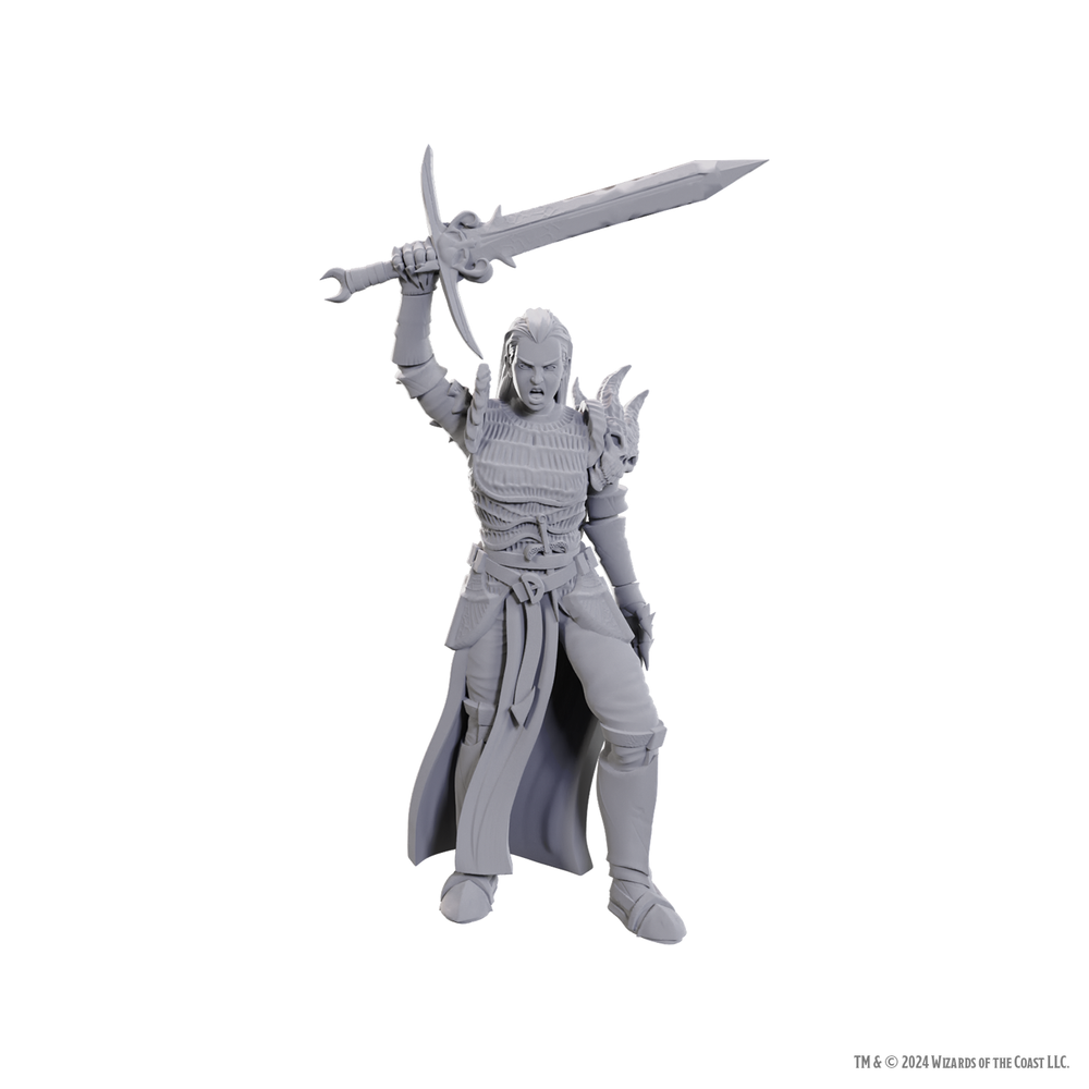 D&D: Nolzur's Marvelous Miniatures - Blackguard (ONLINE ORDER ONLY)