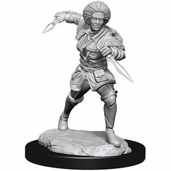 WZK90275 Kaya Unpainted Magic Miniature Figures Deep Cuts WizKids (ONLINE ORDER ONLY)