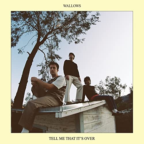 Wallows - Tell Me That It's Over [Vinyl] (ONLINE ORDER ONLY)
