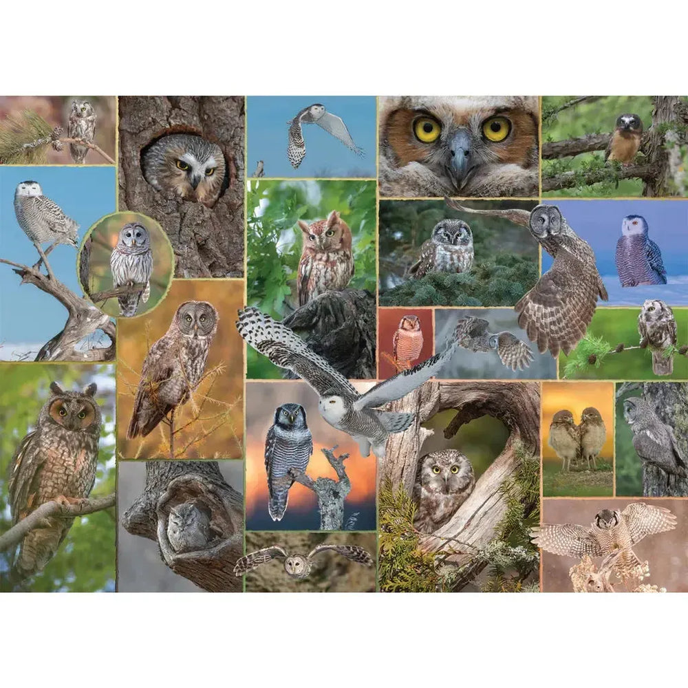 Watchful Wonders "Mixed Up" 1000 Piece Jigsaw Puzzle PuzzleTwist (ONLINE ORDER ONLY)