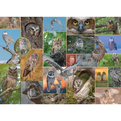 Watchful Wonders "Mixed Up" 1000 Piece Jigsaw Puzzle PuzzleTwist (ONLINE ORDER ONLY)