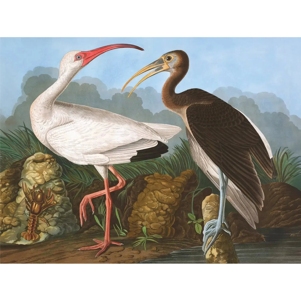 White Ibis Vintage Collection 1000 Piece Jigsaw Puzzle NYPC (ONLINE ORDER ONLY)