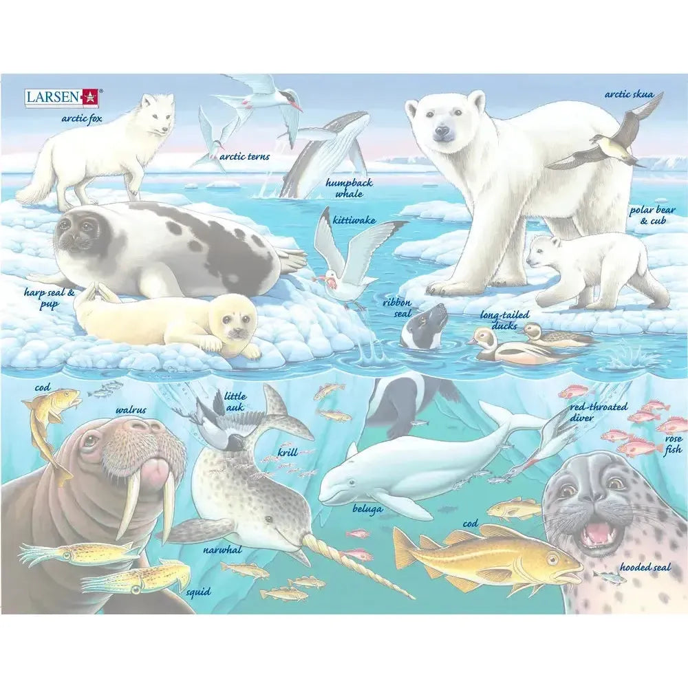 Wildlife On & Around an Arctic Iceberg 75 Piece Tray Jigsaw Puzzle Larsen (ONLINE ORDER ONLY)