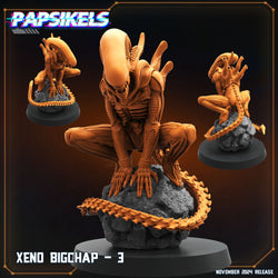 3D Printed Papsikels Xeno Bigchap Nov 2024 Scifi 28mm 32mm (Online Only)