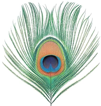 Apple Venus Vol. 1 (200 Gram Vinyl) [Import] [Vinyl] (ONLINE ORDER ONLY)
