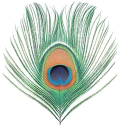 Apple Venus Vol. 1 (200 Gram Vinyl) [Import] [Vinyl] (ONLINE ORDER ONLY)