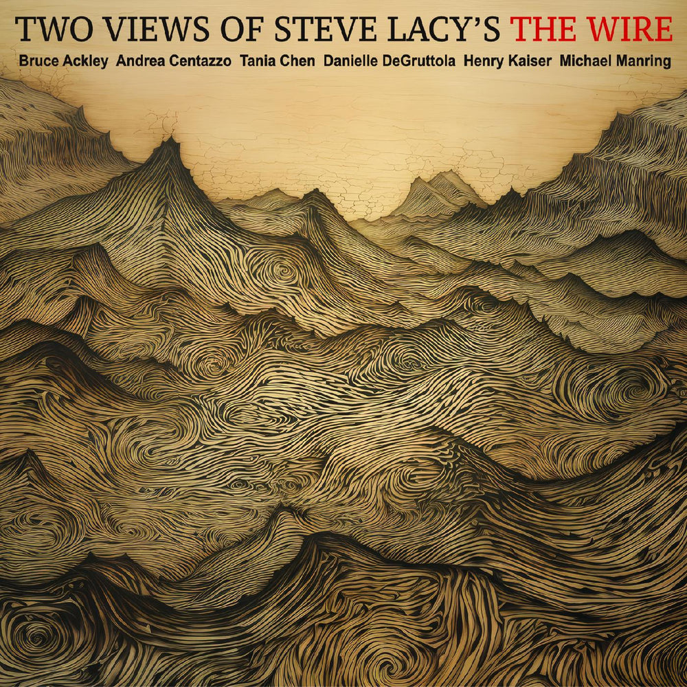 TWO VIEWS OF STEVE LACYS THE WIRE [CD]