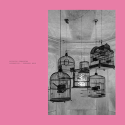 Acrobatizm / Prepared Wave (2LP Pink) [Vinyl]