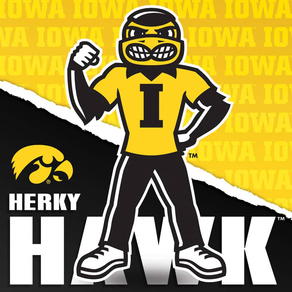 Iowa Hawkeyes - NCAA Mascot 100 Piece Jigsaw Puzzle
