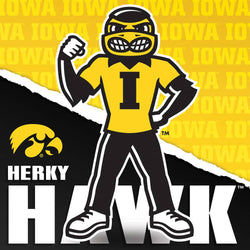 Iowa Hawkeyes - NCAA Mascot 100 Piece Jigsaw Puzzle