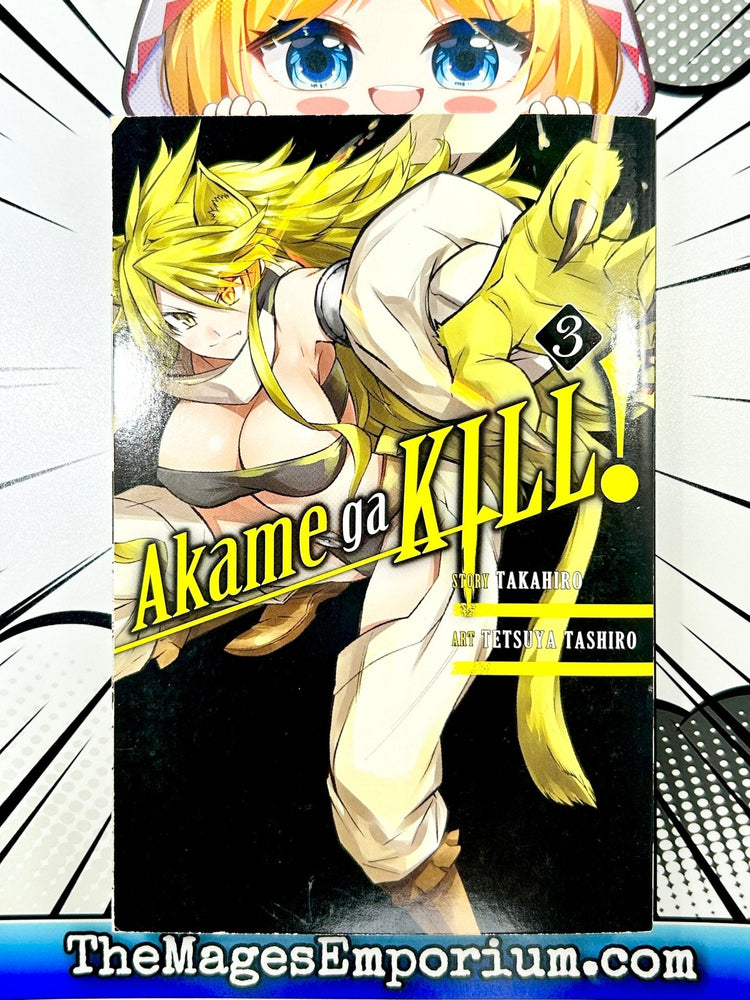 Akame Ga Kill! Vol 3 (Online Order Only)