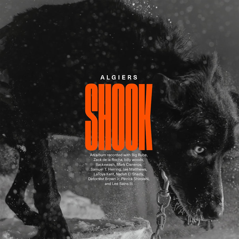 Shook [CD] (ONLINE ORDER ONLY)