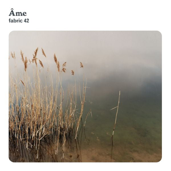 Ame - Fabric 42 : [CD] (ONLINE ORDER ONLY)