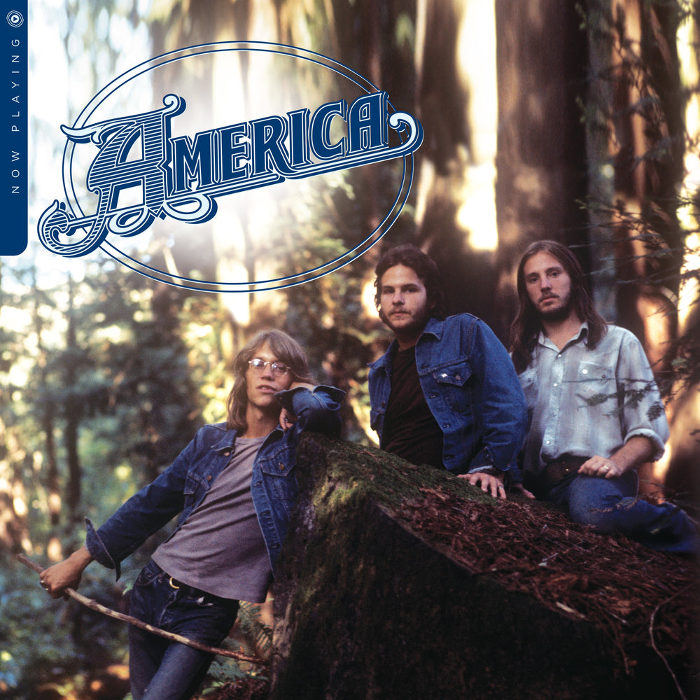 Now Playing [Vinyl]