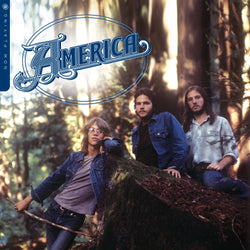 Now Playing [Vinyl]