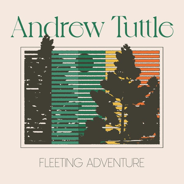 Fleeting Adventure [Vinyl]