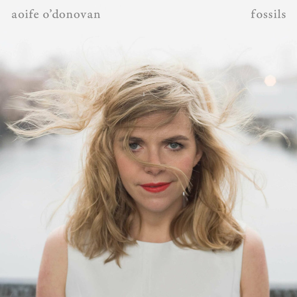 Fossils [CD]