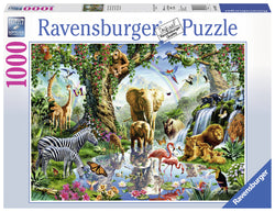 Puzzle: Adventures in the Jungle