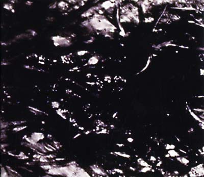 Presences Of Absences [CD]