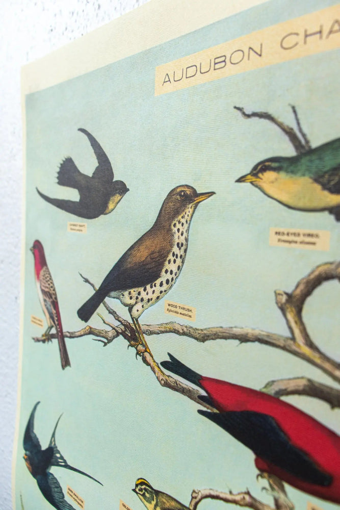 Audubon Birds Scientific Chart (ONLINE ORDER ONLY)
