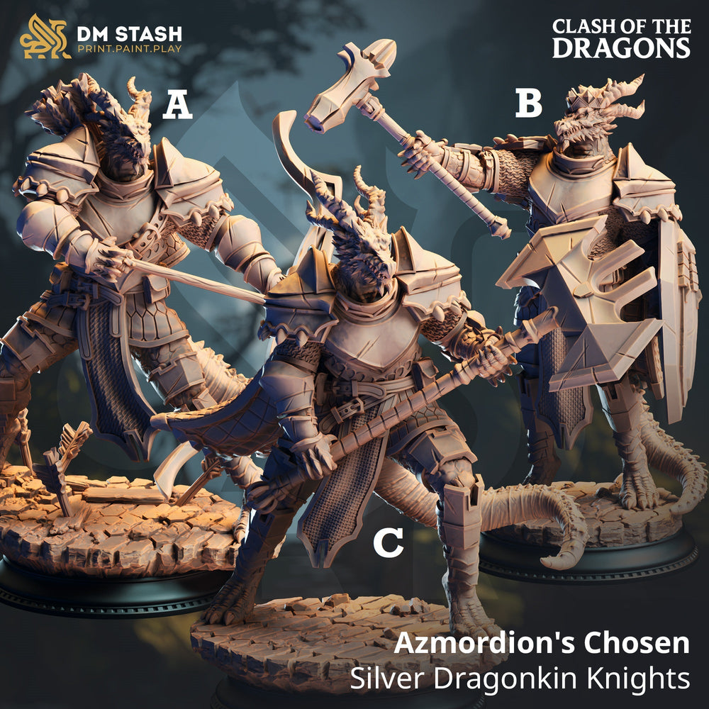 Azmordion's Chosen, Silver Dragonkin Knights (Dragonborn Paladins) (Online Only)