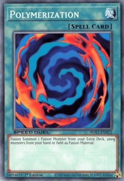 Polymerization [SGX1-ENA12] Common (ONLINE ORDER ONLY)