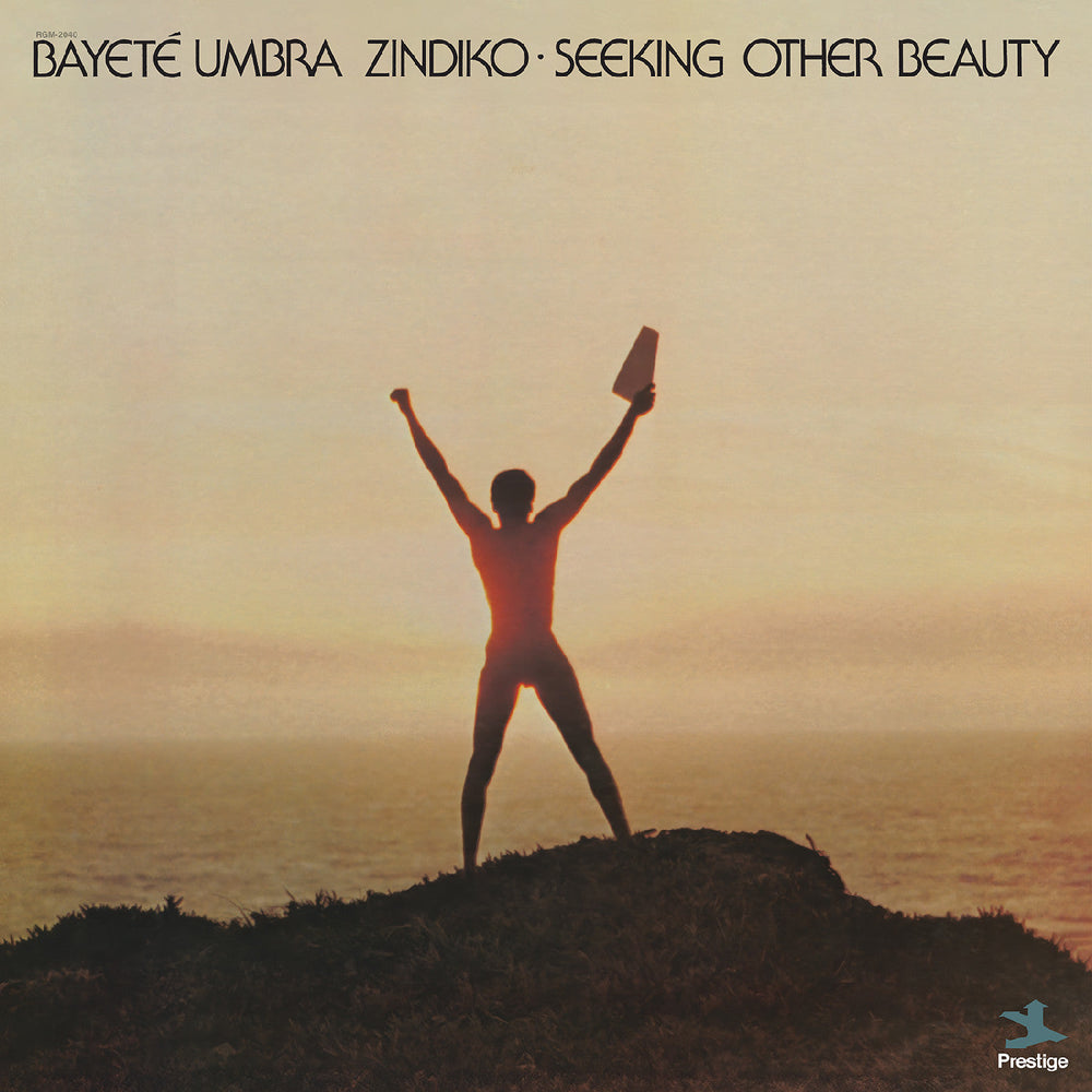 Seeking Other Beauty (All-Analog) [Vinyl]