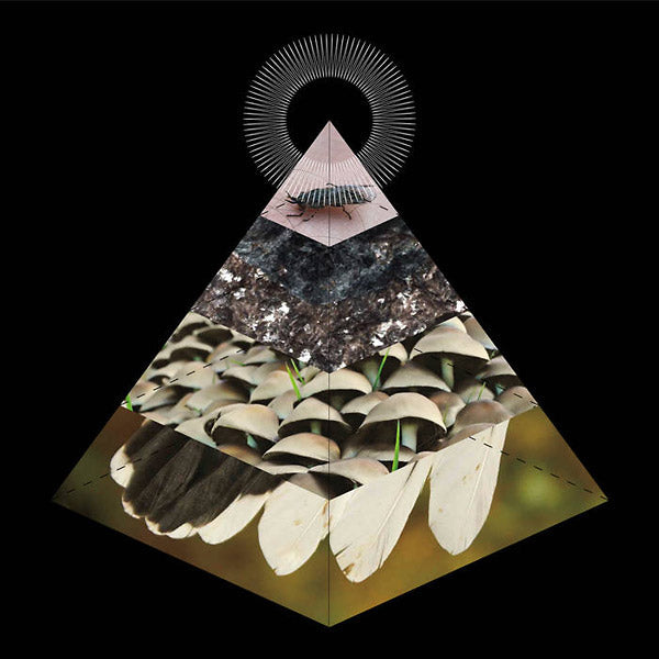 Apophenia [CD] (ONLINE ORDER ONLY)
