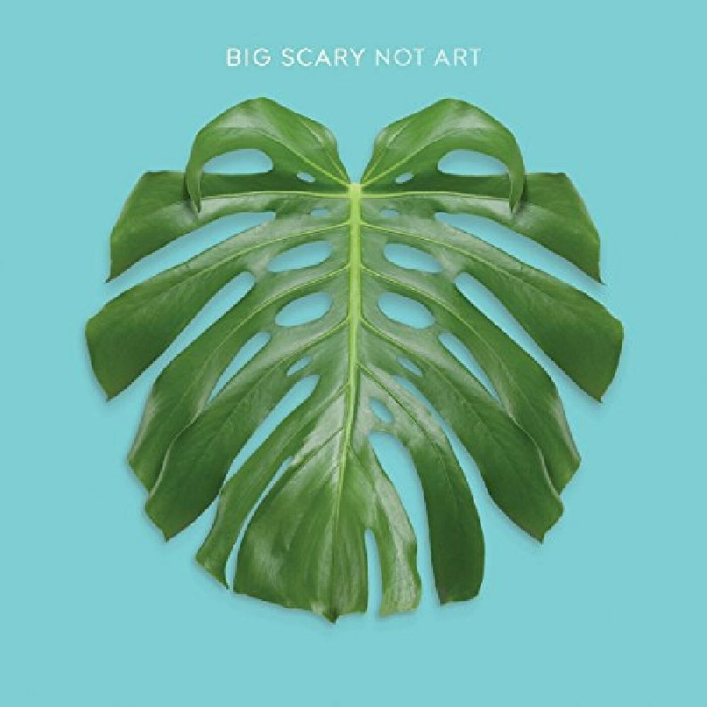 Not Art [Vinyl]