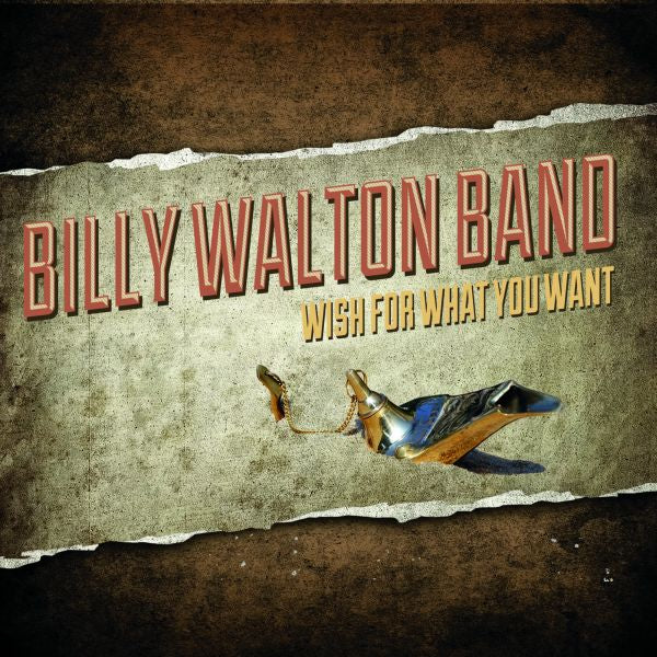 Wish For What You Want [CD]