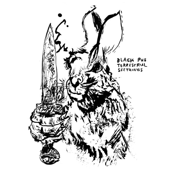 Terrestrial Seethings [CD] (ONLINE ORDER ONLY)