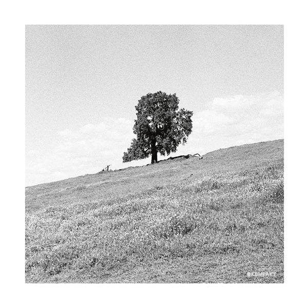 BLANK GLOSS - Cornered [CD] (ONLINE ORDER ONLY)