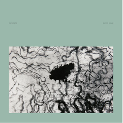 Blood Moon (2LP Translucent Green Marble) [Vinyl]
