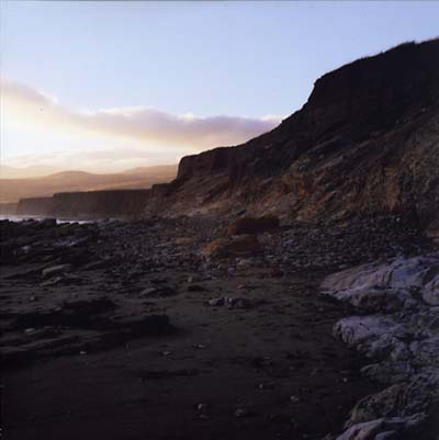 BRAIN IDEA - Cosmos Factory [Vinyl] (ONLINE ORDER ONLY)