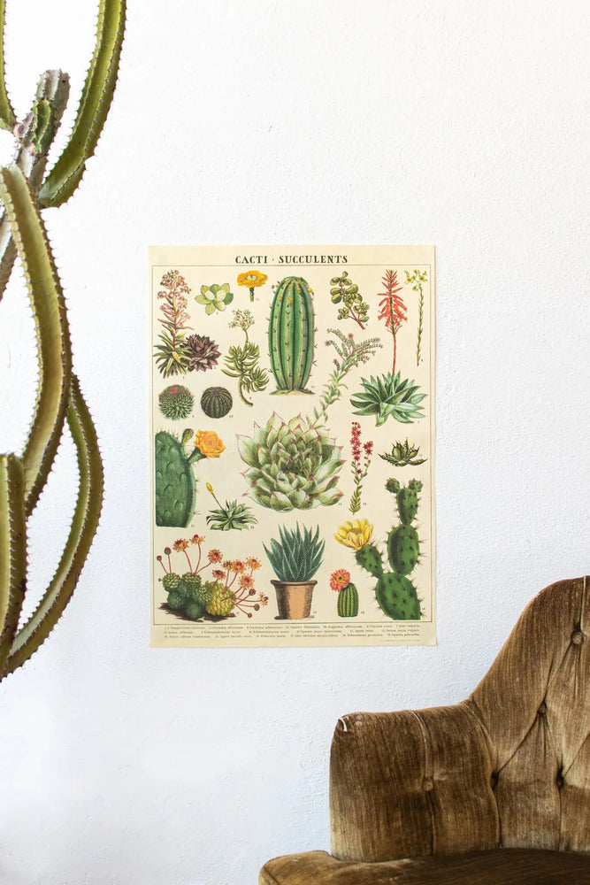 Cacti Scientific Chart (ONLINE ORDER ONLY)