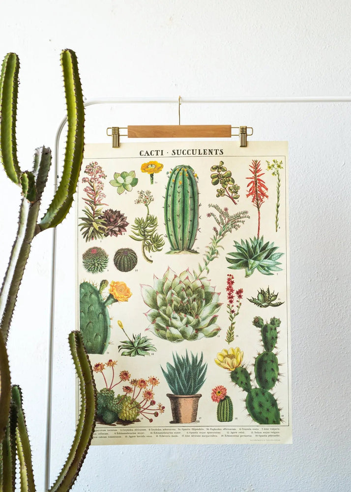 Cacti Scientific Chart (ONLINE ORDER ONLY)
