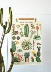 Cacti Scientific Chart (ONLINE ORDER ONLY)
