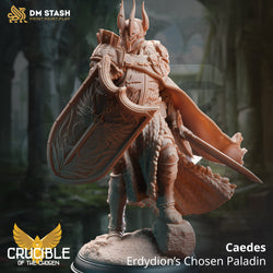 Caedes, Erdydion's Chosen Paladin (Male Paladin) (Online Only)